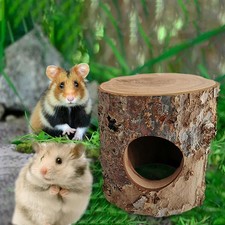 Small Animal Hideout Exercise