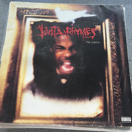 Busta rhymes the - rhymes, vinyl