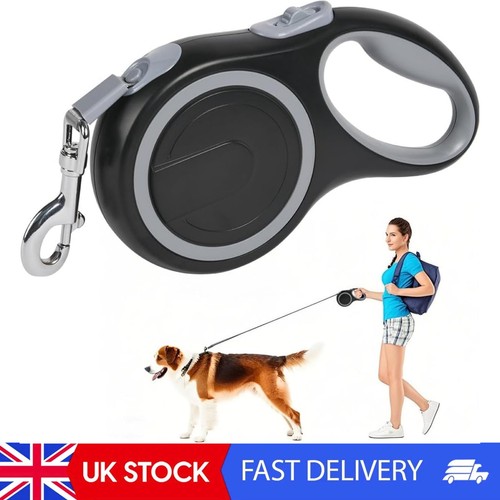 Retractable dog lead - dog,
