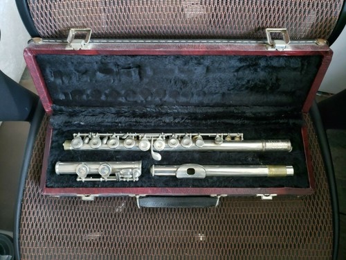 Bundy selmer hmg - case, flute