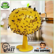 Fruit Fly Balls Fly Ball Trap
