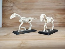 Undead Skeleton Cavalry Horses