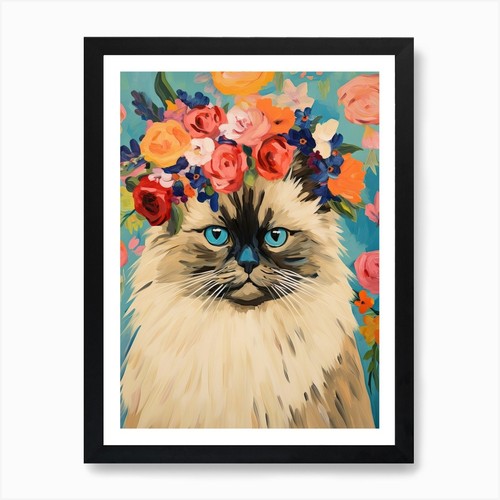 Himalayan cat with - cat, a