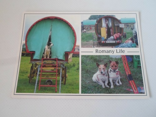 Romany life photo - photo, by