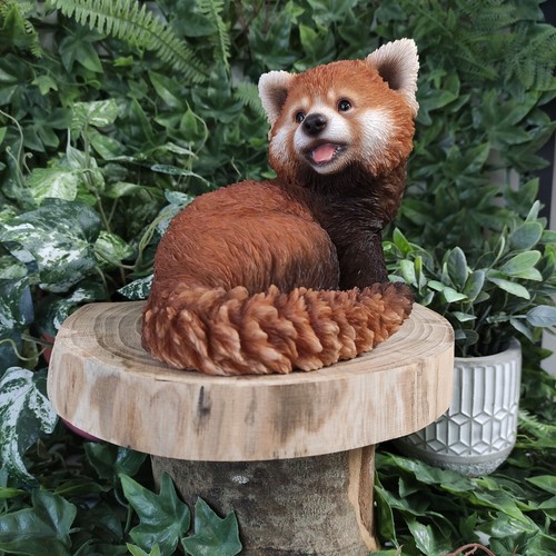Vivid arts red panda - -,