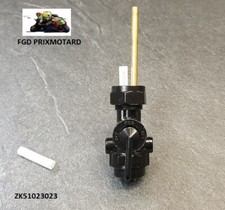 Kawasaki Z 1000 1977/1978 Fuel