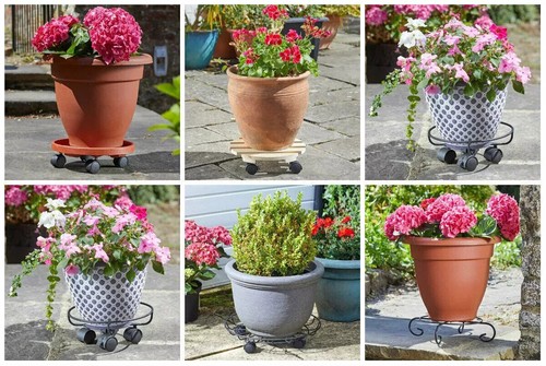 Decorative round flower - decorative, pot