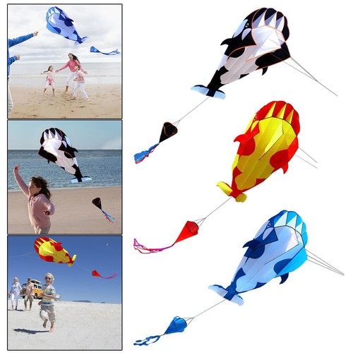 Giant kite with 30m - with, string