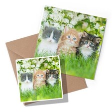 1 x Greeting Card & Sticker Set - Gorgeous Kittens Garden Cats Animals #8663