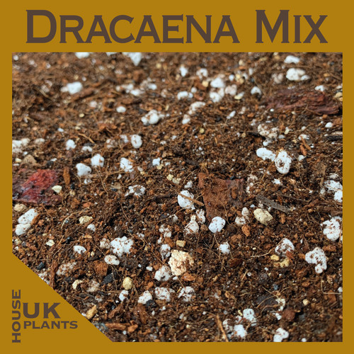 Dracaena soil mix - mix, free