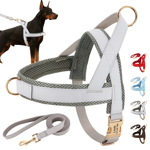 Personalised pet dog - pet,