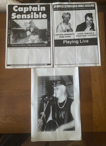 The damned captain sensible - the,