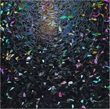 rabbitgoo Privacy Window Film