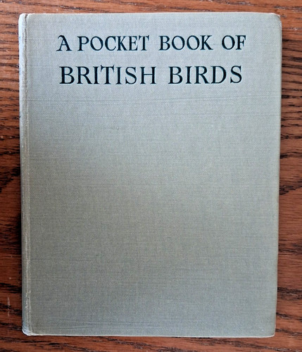 Pocket book british - pocket-book, birds