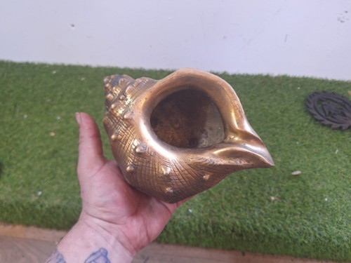 Large brass sea - sea, shell