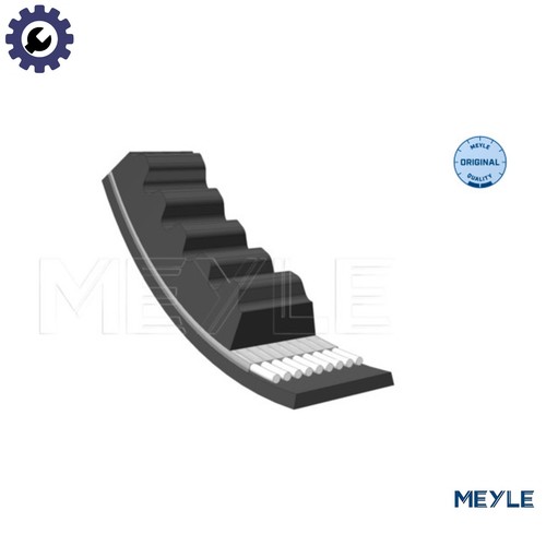Vbelt 052 013 - 013, forvbelt