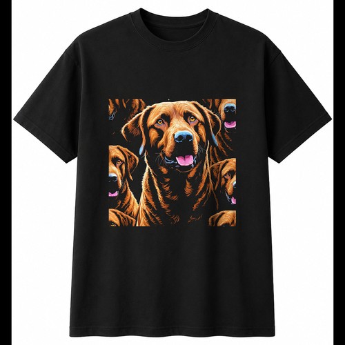 Chesapeake bay retriever - bay, torn