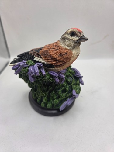 The country bird collection - bird,