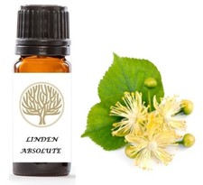 100% Pure Linden Absolute Oil