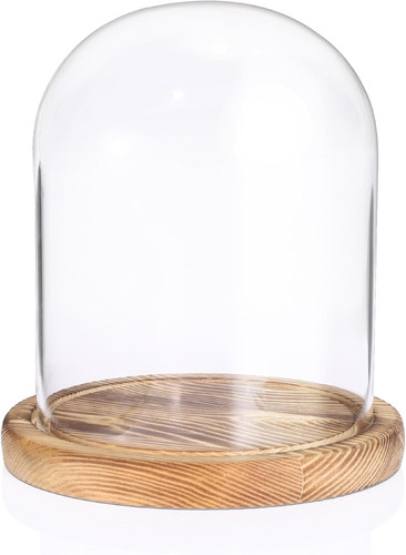 Glass display cloche - cloche, dome