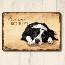 Border Collie Sign nope not