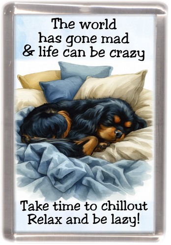Cavalier king charles spaniel - charles,