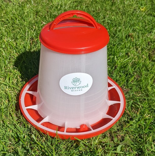 Chicken poultry feeder drinker - chicken,