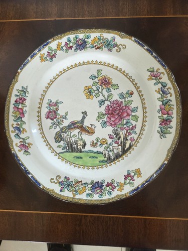 Antique copeland spode peacock - antique,