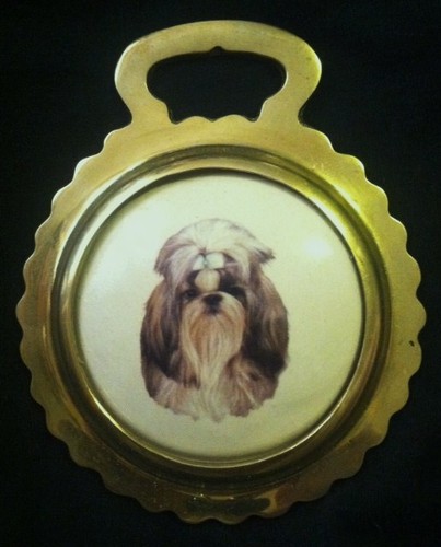 New dog shih tzu - tzu, ceramic
