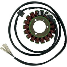 Ricks Electric Magneto Stator