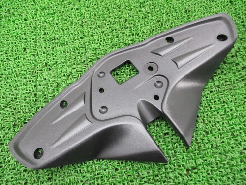 Genuine triumph speed triple - genuine,