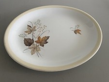 Vintage Alfred Meakin Autum