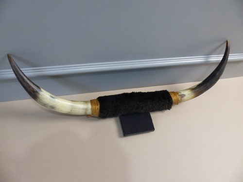 Pair mounted cow horns - mounted,