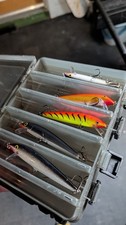 Rapala Lures Bundle Fishing
