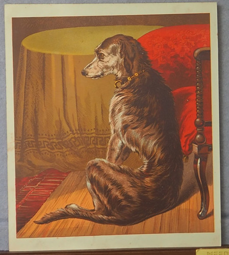 1872 antique dog lithograph - antique,