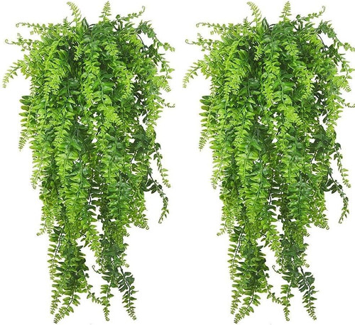 Pinvnby reptile plants - pinvnby,