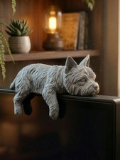 Sleeping Yorkshire Terrier