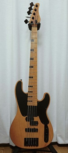 Schecter model session5 - schecter, model-t