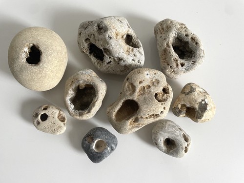 Sea tumbled stones - sea, succulent