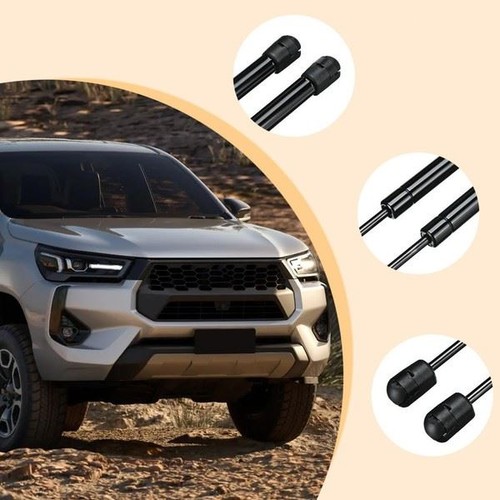 Pair canopy rear window - 1,