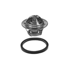 Genuine Borg & Beck Thermostat