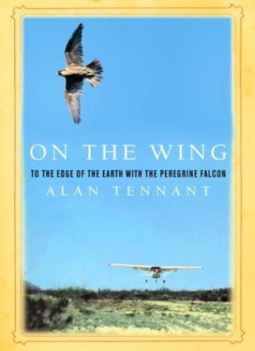The wing edge - on, to