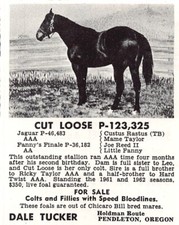 Dale Tucker Owner Cut Loose