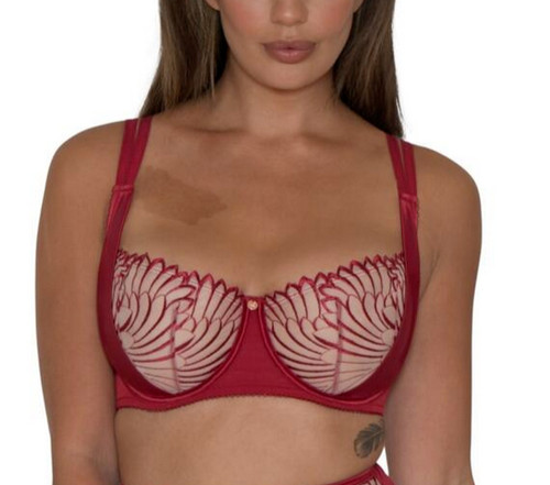 Scantilly curvy kate fallen - kate,