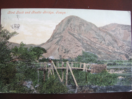 Bird rock and rustic bridge - bird,