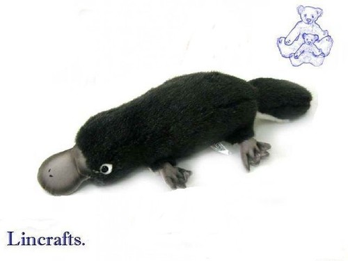 Hansa duck billed platypus - billed,