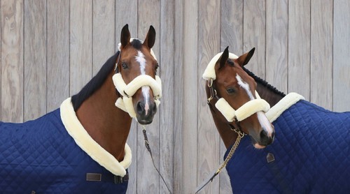 Kentucky horsewear piece - 4,