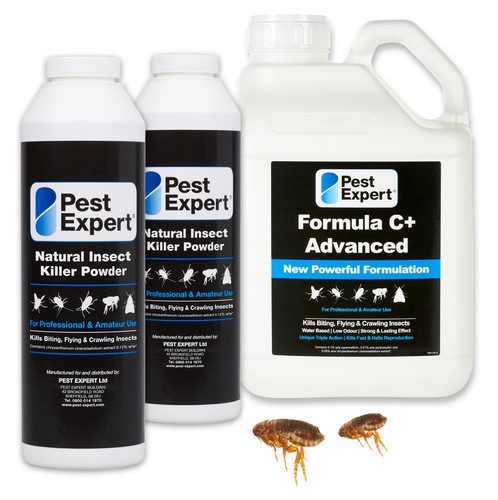 Pest expert flea - flea, spray