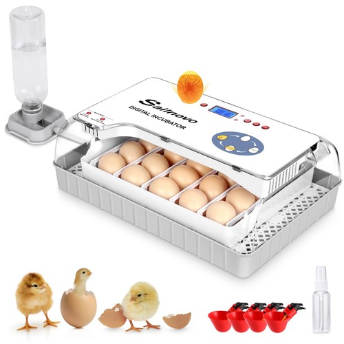 Sailnovo incubator eggs - sailnovo,