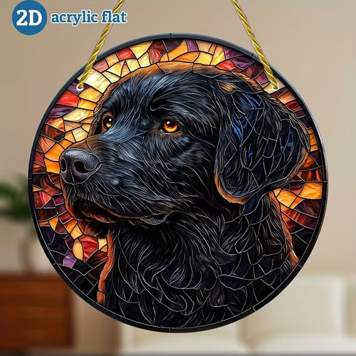 Black labrador retriever - labrador,